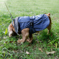 Hot Saling froid temps polaire doublé Sport chien Pet Gilet vêtements veste avec doublure réfléchissante et patte chien Pet manteau